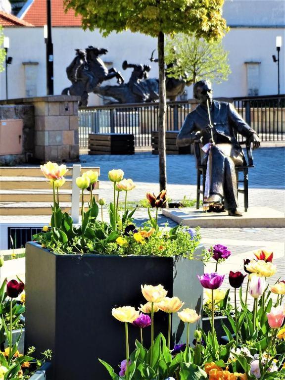 Fortuna Apartmanok Eger Bagian luar foto