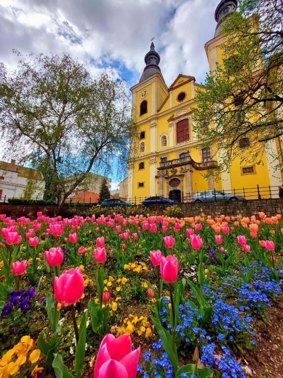 Fortuna Apartmanok Eger Bagian luar foto